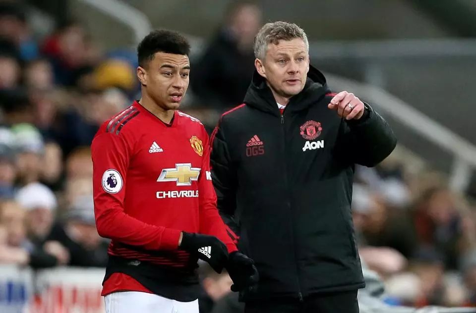 并进行有针 并进行有针